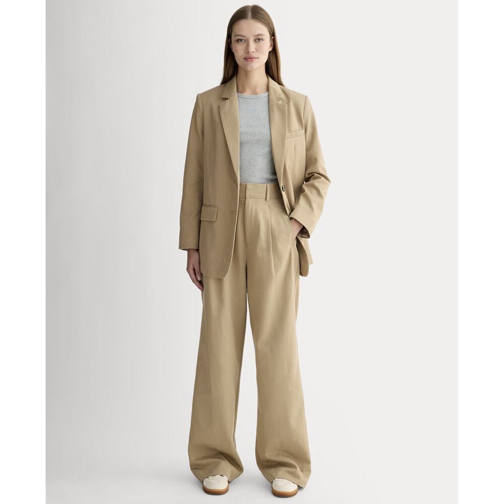 Everlane Draper Pleated Pant in Buttersmooth in Ash Brown